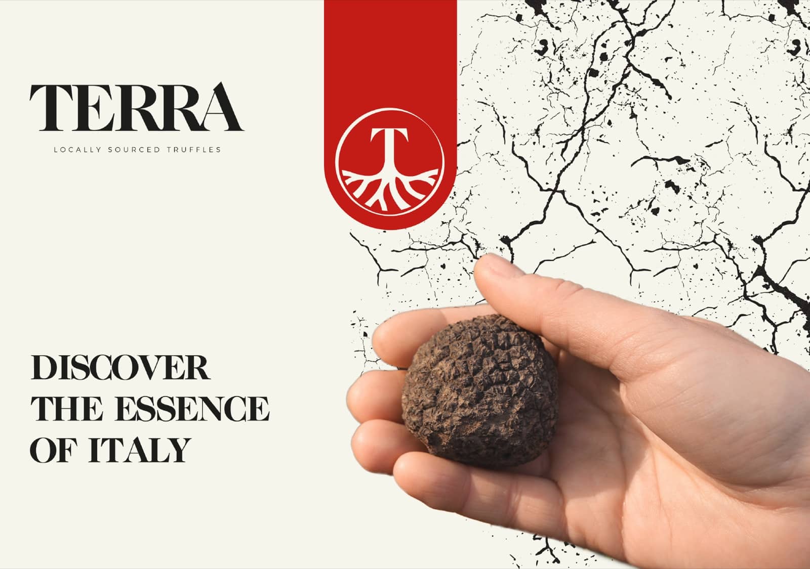 Case Terra – Terra